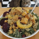 A colorful close-up of the finished Fall Harvest Pasta Salad